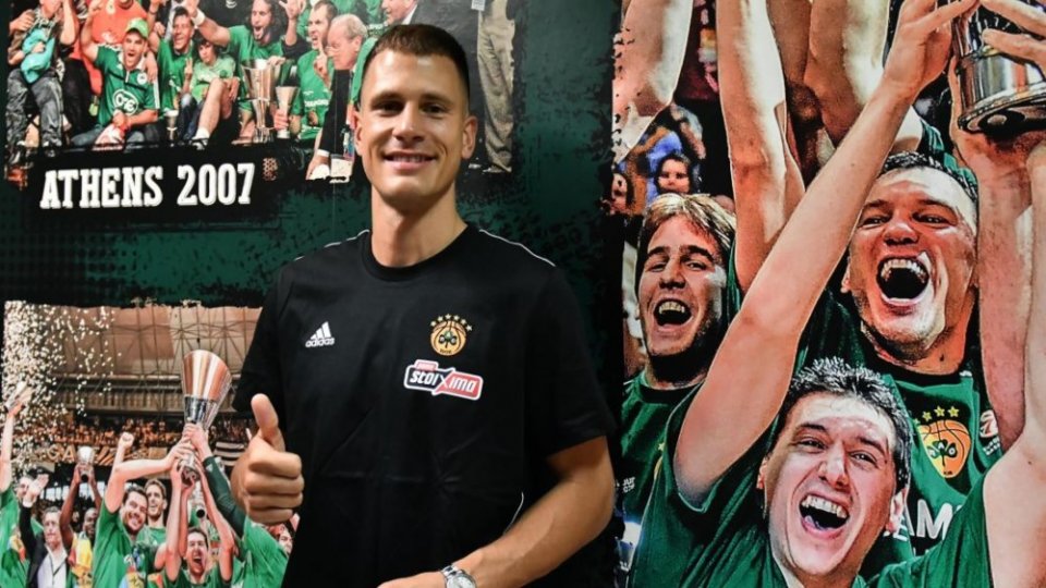 nedovic 2