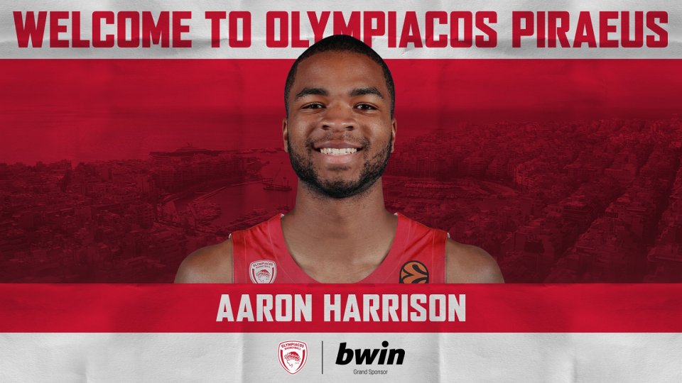harrison website