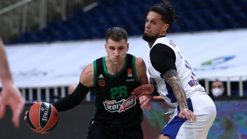 nedovic