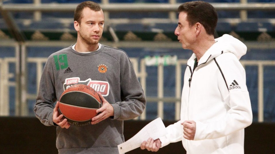 lekavicius pitino
