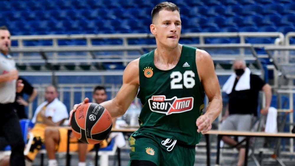 nedovic 1