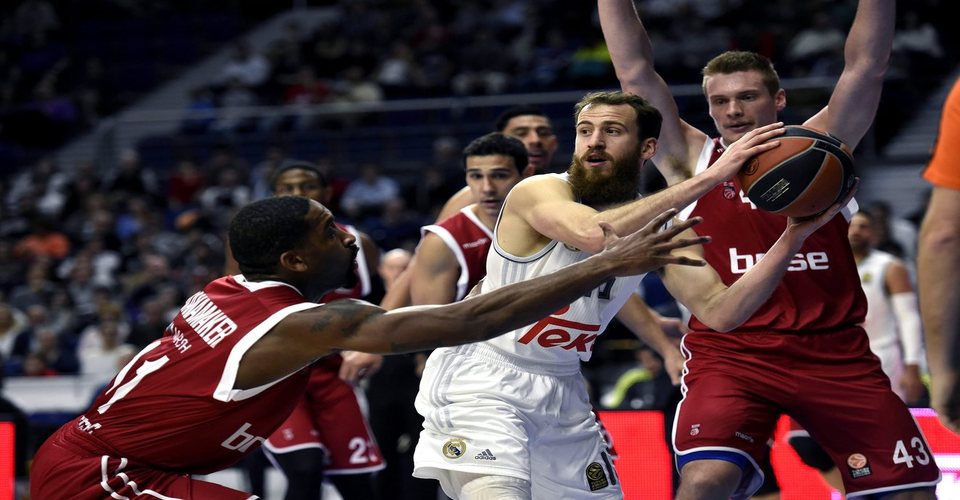 real bamberg