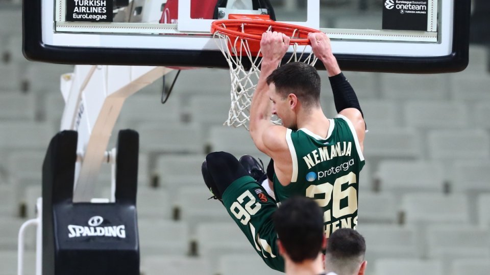 nedovic 3
